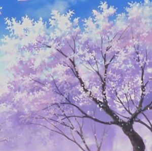 Meet your Posher, Avea